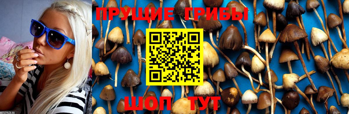 Галлюциногенные грибы GOLDEN TEACHER  Вход с VPN  магазин продажи наркотиков  Ангарск 